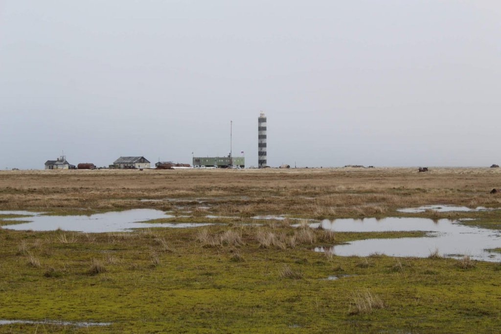 На острове Вилькицкого в Арктике разбирают полярную станцию (ФОТО)