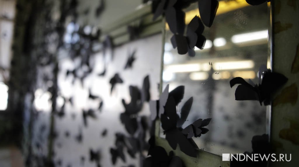 От черных бабочек до биороботов: художники из 25 стран представили варианты бессмертия на Уральской биеннале (ФОТО)