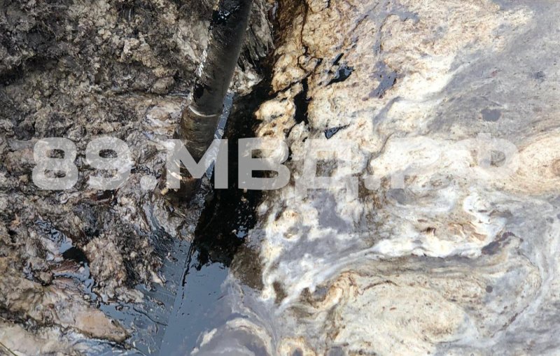 На Ямале поймали мужчин, которые похитили 23 тонны нефти (ФОТО, ВИДЕО)