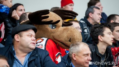 300 фактов о Екатеринбурге. Местная хоккейная команда сменила трех лосей