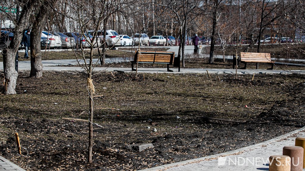 Ветер разметал по неубранному Екатеринбургу мусор и пыль (ФОТО)