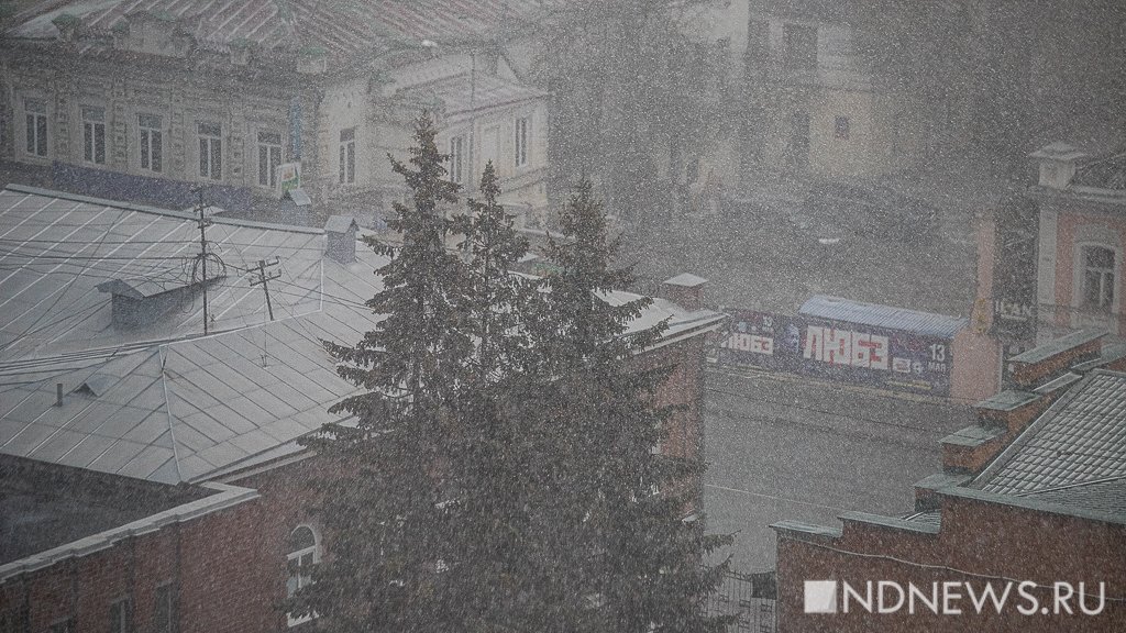 В Екатеринбурге прошел апрельский снегопад, уже завтра начнется потепление (ФОТО)