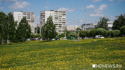 Екатеринбург получит областные деньги на установку стелы «Город трудовой доблести»