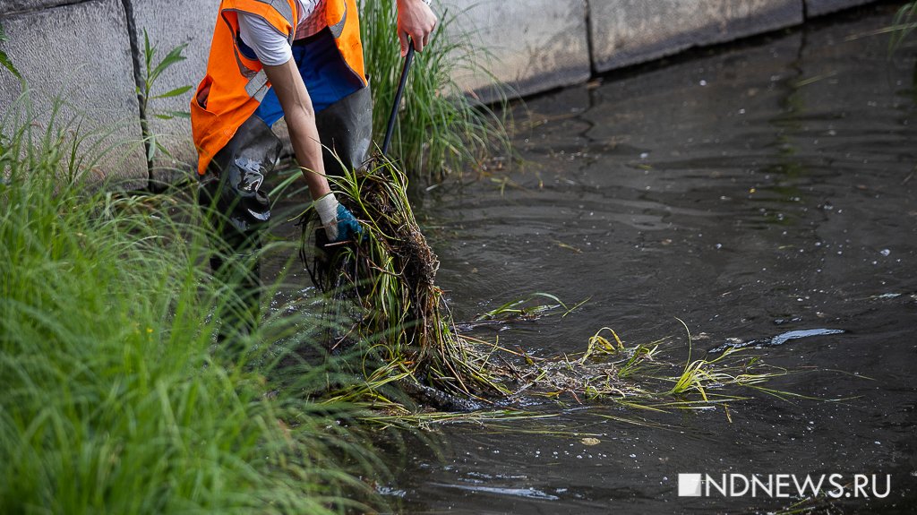 «26 тонн мусора за два месяца», – что нашли в Городском пруду (ФОТО)