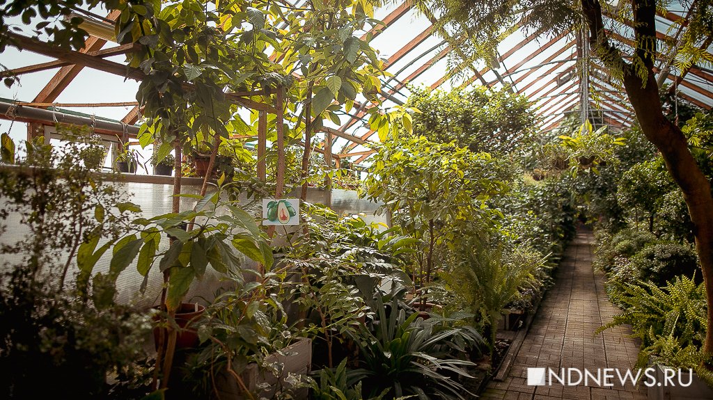 Ботанический Сад Екатеринбург Фото