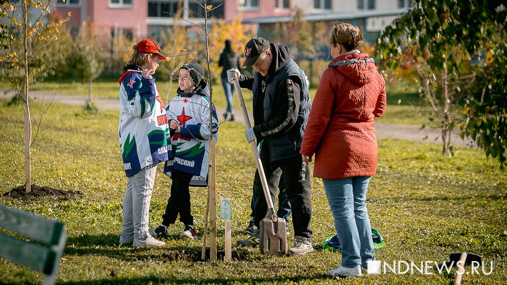 Жители Академического во время субботника высадили более 500 молодых деревьев (ФОТО)