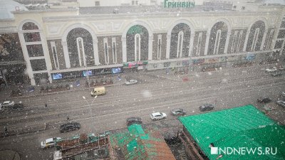 МЧС предупредило о гололеде, мокром снеге и сильном ветре