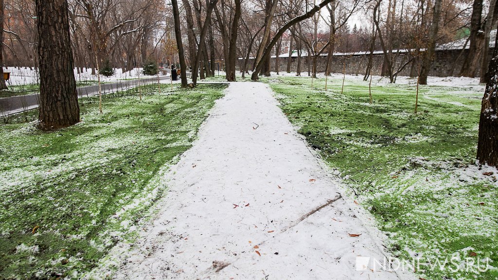 В мэрии объяснили, зачем в Зеленой Роще снег покрасили в зеленый цвет (ФОТО)