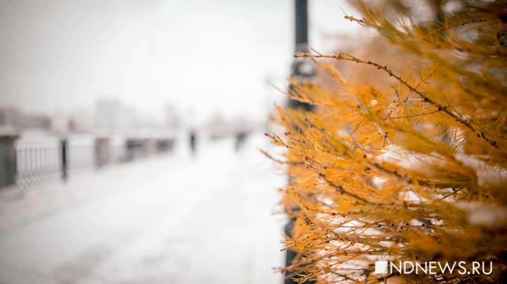 «Ура, зима!» и «Фу, зима!». Два фоторепортажа о том, как Екатеринбург засыпает снегом (ФОТО)