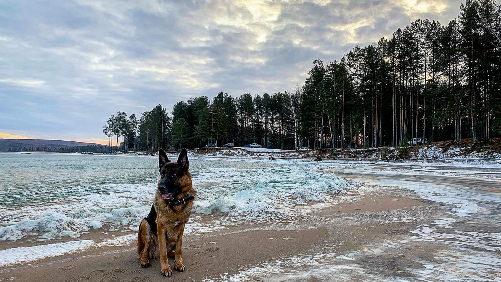 В Пермском крае фотограф запечатлел редкое природное явление – замерзшие волны (ФОТО)