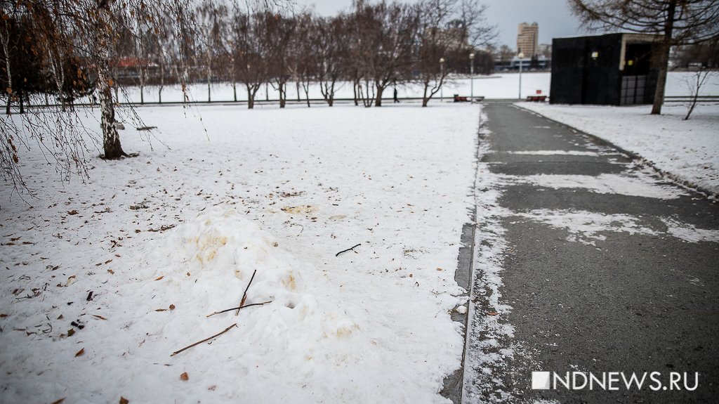Ни снега, ни красок: у Екатеринбурга украли новогоднее настроение (ФОТО)
