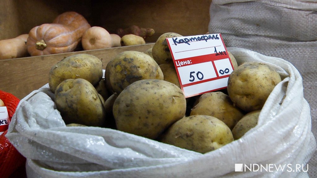 Цена килограмма картошки на Урале превысила 50 рублей
