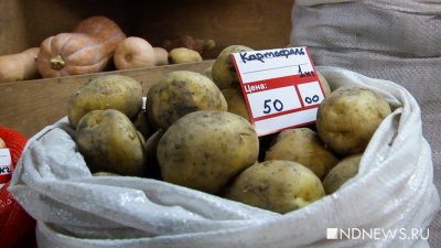 В свердловских магазинах взлетели цены на картофель