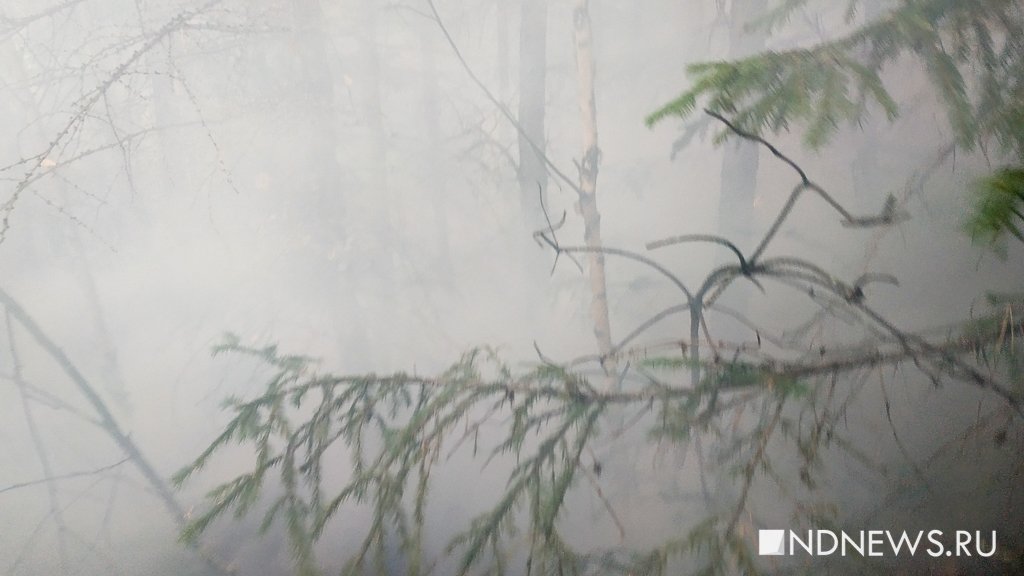 Несмотря на снегопад Свердловская область остается лидером по числу лесных пожаров