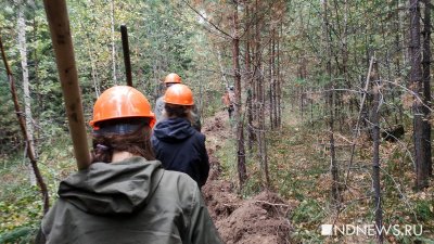 На борьбу с лесными пожарами второй год выходят волонтеры