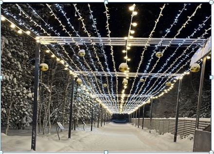 Пуровские чиновники продолжают закупать дорогостоящие новогодние украшения
