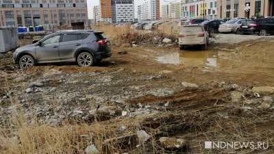 Сотни гряземесов с начала года оштрафованы на несколько миллионов рублей