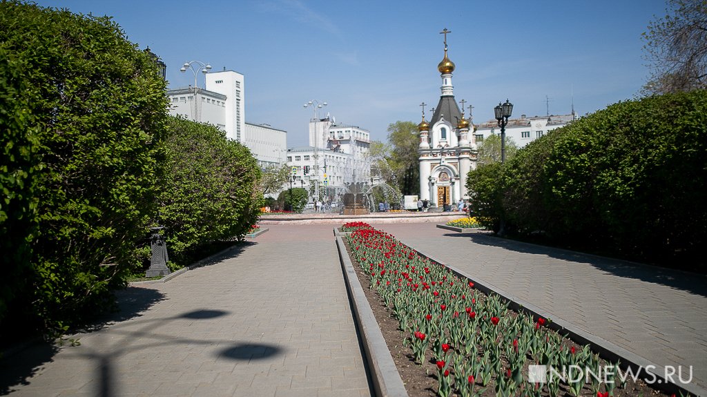 В Екатеринбурге зацвели тюльпаны (ФОТО)