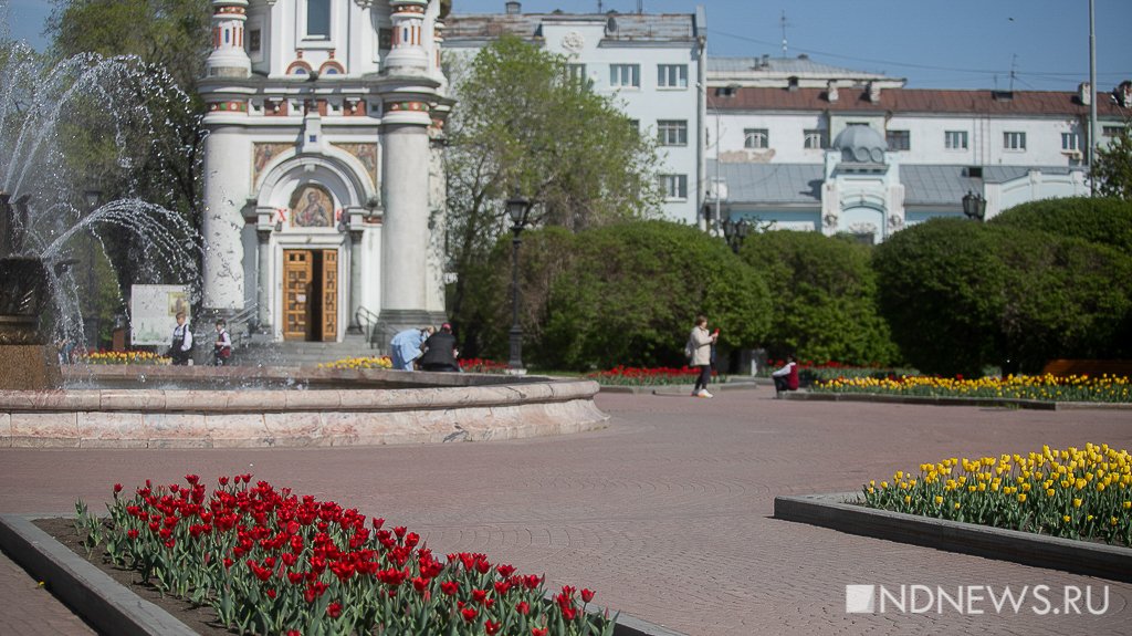 В Екатеринбурге зацвели тюльпаны (ФОТО)