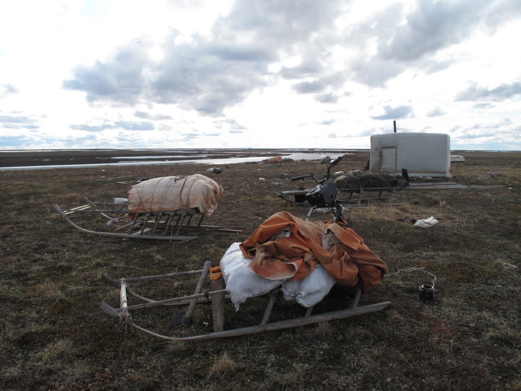 Юный житель тундры на Ямале избил дядю канистрой и бросил его умирать