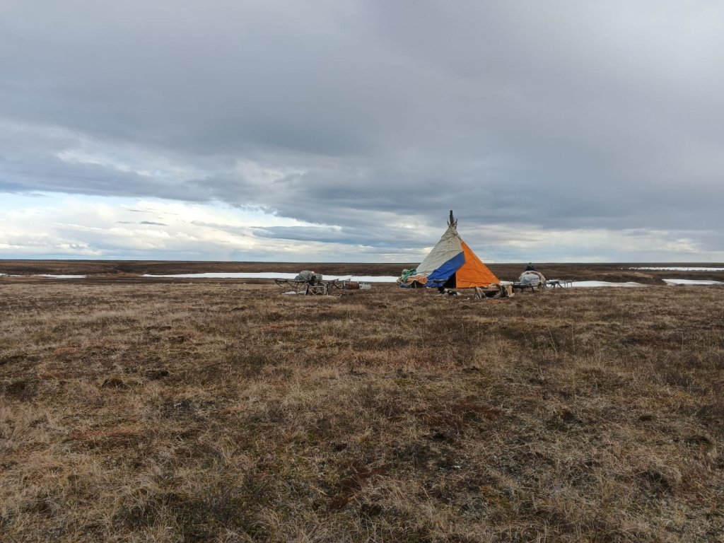 Юный житель тундры на Ямале избил дядю канистрой и бросил его умирать