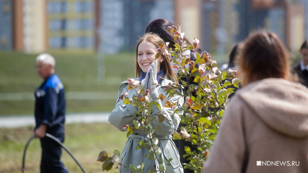 Новый День: Медалисты Академического высадили аллею яблонь и лиственниц в Преображенском парке (ФОТО)