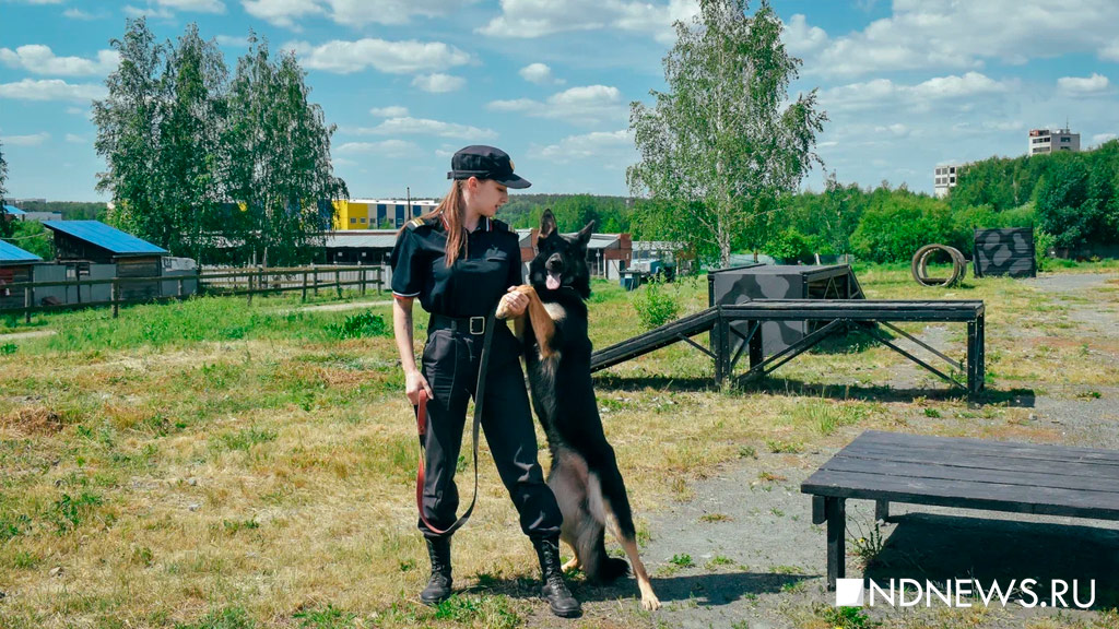 Из детсада для пушистиков – на службу в полицию. Кинологи рассказали, как тренируют собак для работы (ФОТО, ВИДЕО)