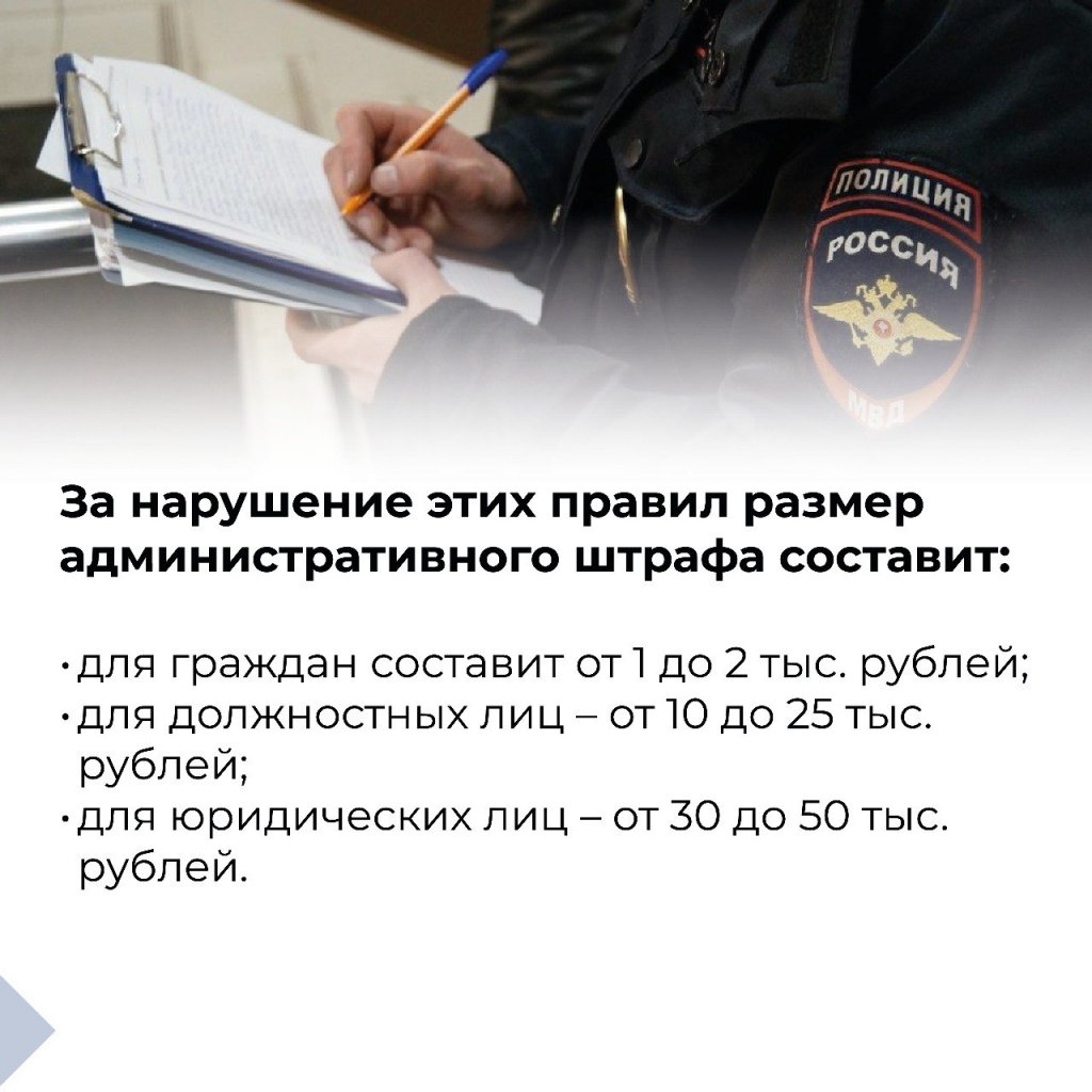 Депутаты Ямала ввели штрафы для любителей парковаться у помоек