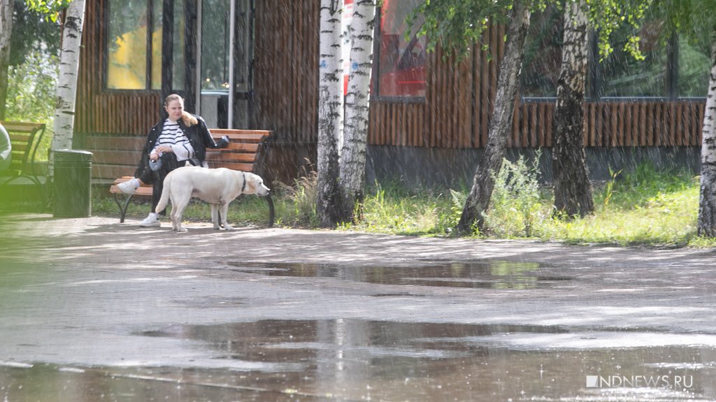 Тишь, гладь да божья благодать – в Екатеринбурге прошел День ВДВ (ФОТО)