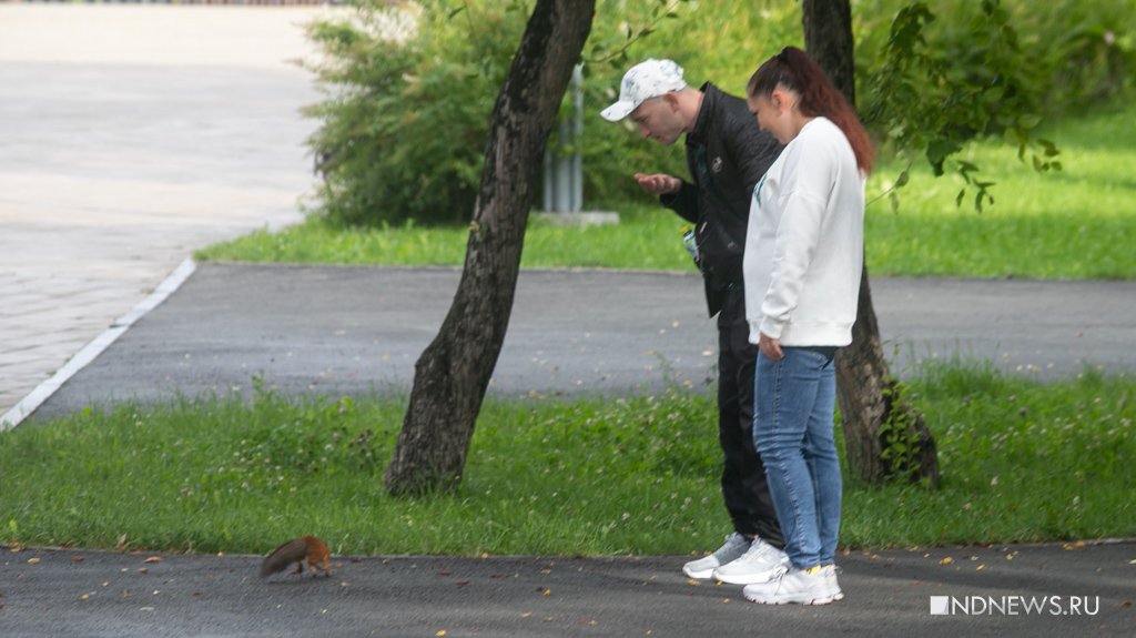 Тишь, гладь да божья благодать – в Екатеринбурге прошел День ВДВ (ФОТО)