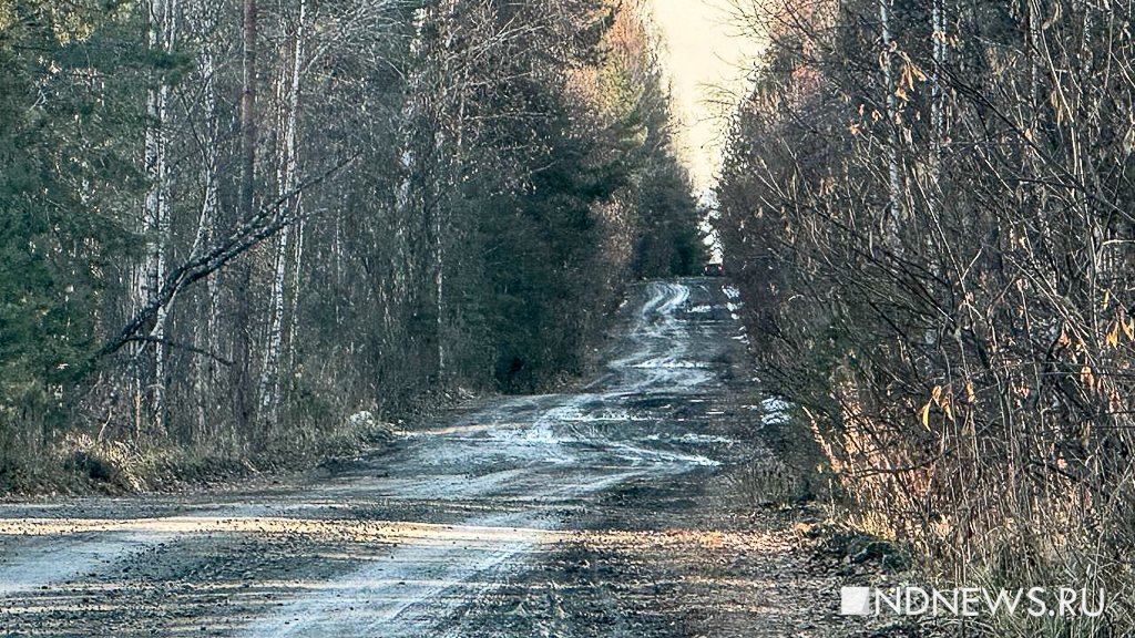 Ручные олени, осенняя пастораль и уральский «офроад». Куда поехать на один день из Екатеринбурга (ФОТО)