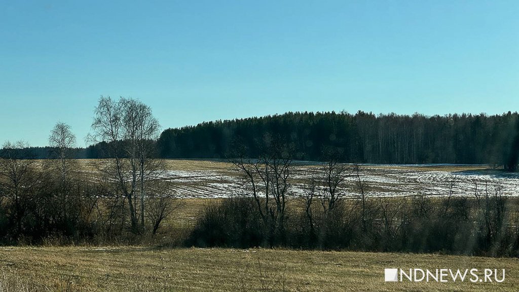 Ручные олени, осенняя пастораль и уральский «офроад». Куда поехать на один день из Екатеринбурга (ФОТО)