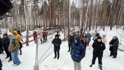 Бастрыкин взял на контроль ситуацию в Березовой роще