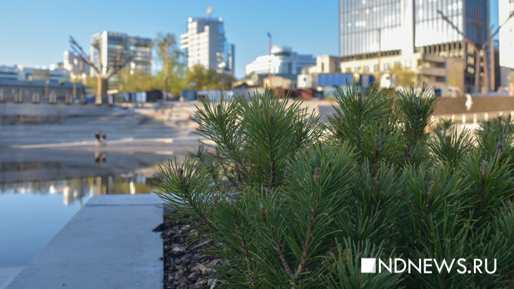 В Екатеринбурге продолжают благоустраивать набережную за ледовой ареной (ФОТО)