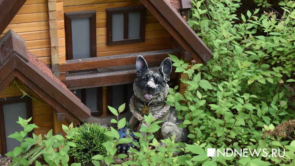 На радуге. Как в Екатеринбурге хоронят домашних питомцев (ФОТО, ВИДЕО)