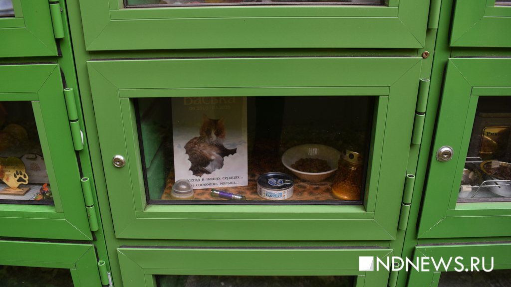 На радуге. Как в Екатеринбурге хоронят домашних питомцев (ФОТО, ВИДЕО)