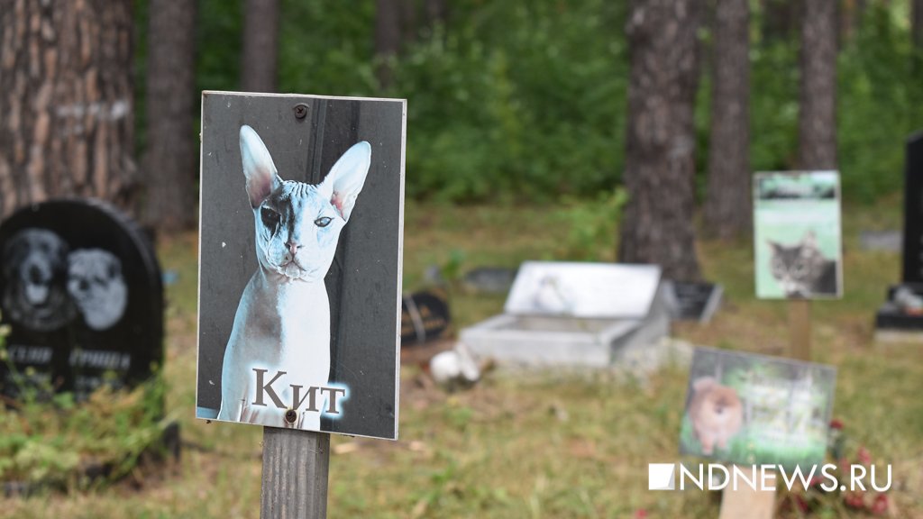 На радуге. Как в Екатеринбурге хоронят домашних питомцев (ФОТО, ВИДЕО)