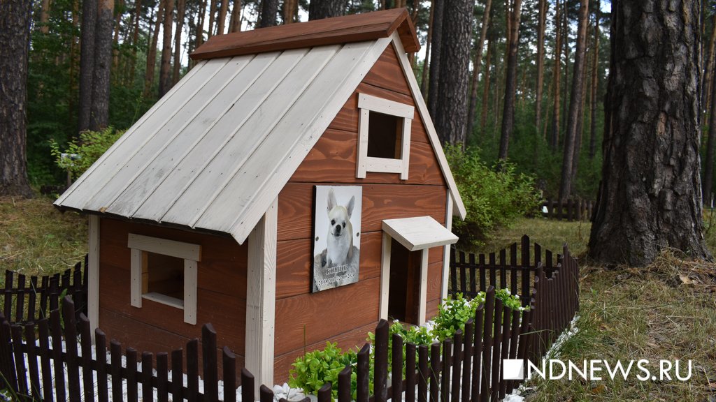 На радуге. Как в Екатеринбурге хоронят домашних питомцев (ФОТО, ВИДЕО)