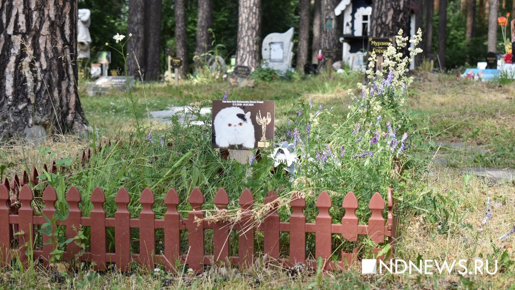 На радуге. Как в Екатеринбурге хоронят домашних питомцев (ФОТО, ВИДЕО)