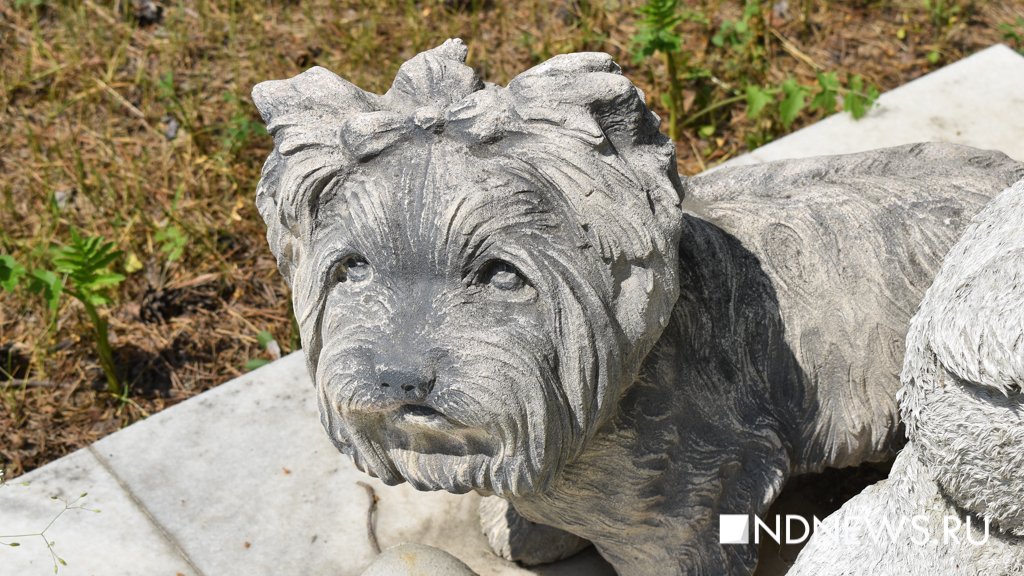 На радуге. Как в Екатеринбурге хоронят домашних питомцев (ФОТО, ВИДЕО)