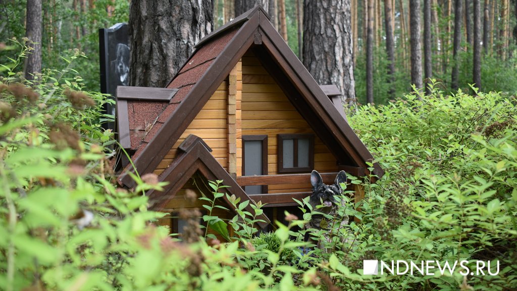 На радуге. Как в Екатеринбурге хоронят домашних питомцев (ФОТО, ВИДЕО)