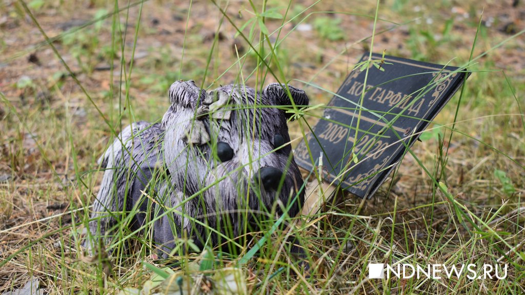 На радуге. Как в Екатеринбурге хоронят домашних питомцев (ФОТО, ВИДЕО)