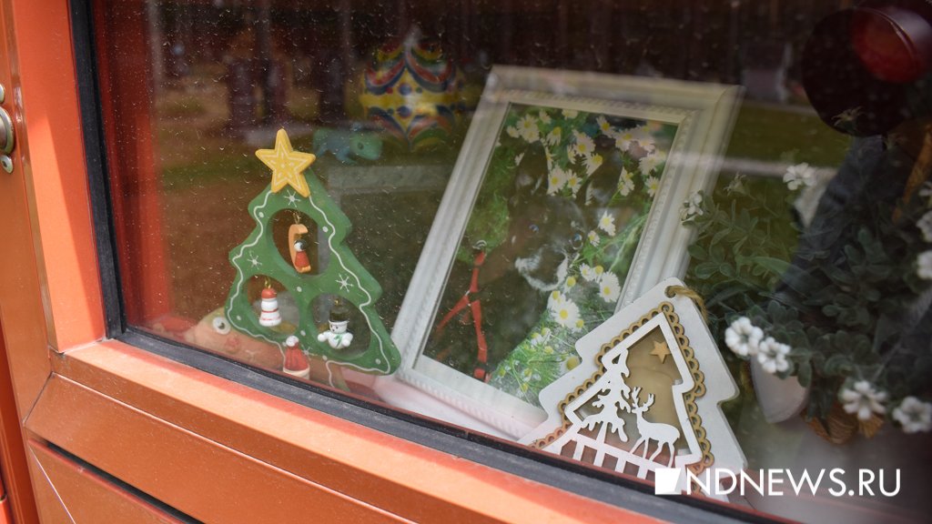 На радуге. Как в Екатеринбурге хоронят домашних питомцев (ФОТО, ВИДЕО)