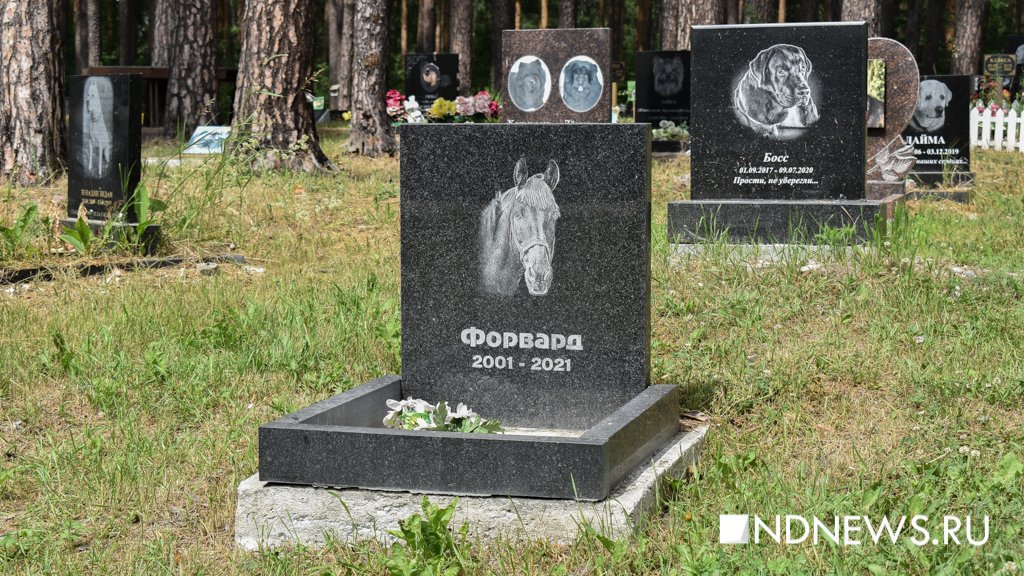 На радуге. Как в Екатеринбурге хоронят домашних питомцев (ФОТО, ВИДЕО)
