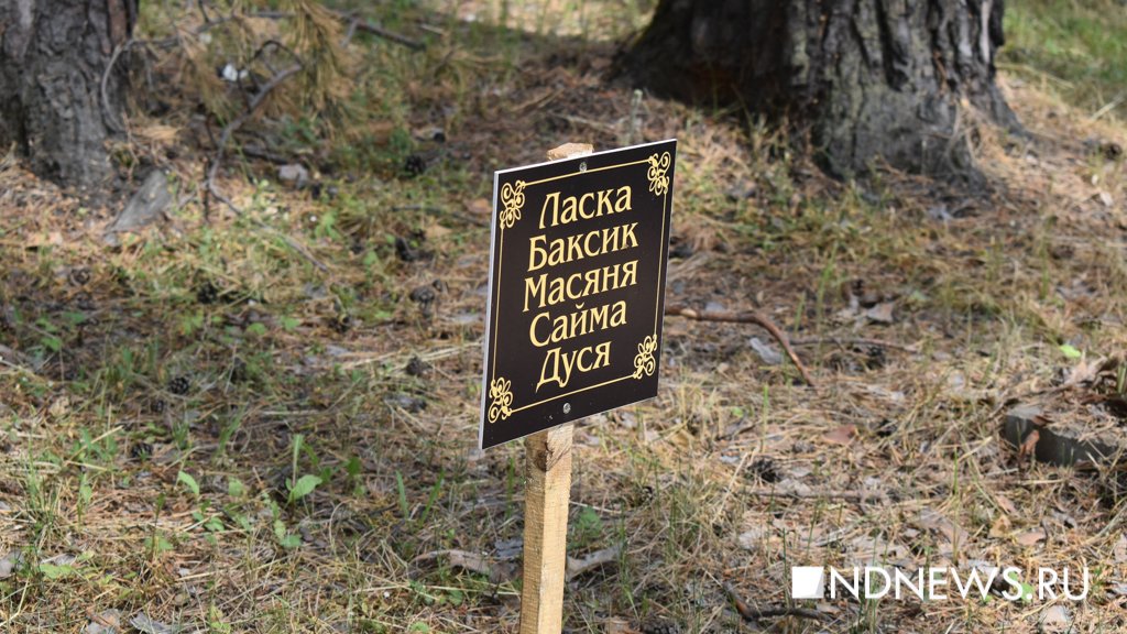 На радуге. Как в Екатеринбурге хоронят домашних питомцев (ФОТО, ВИДЕО)