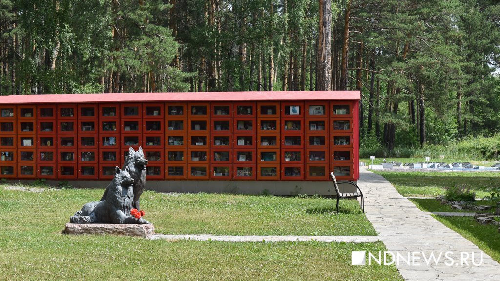 На радуге. Как в Екатеринбурге хоронят домашних питомцев (ФОТО, ВИДЕО)