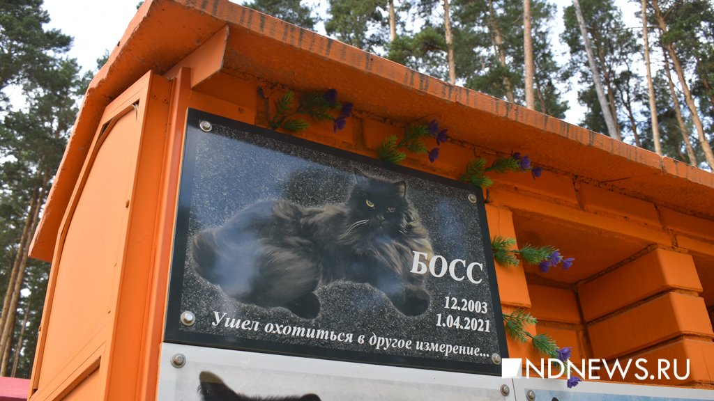 На радуге. Как в Екатеринбурге хоронят домашних питомцев (ФОТО, ВИДЕО)