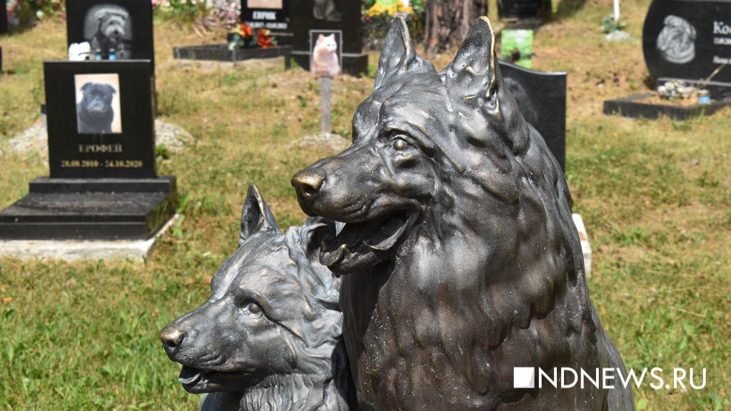 На радуге. Как в Екатеринбурге хоронят домашних питомцев (ФОТО, ВИДЕО)