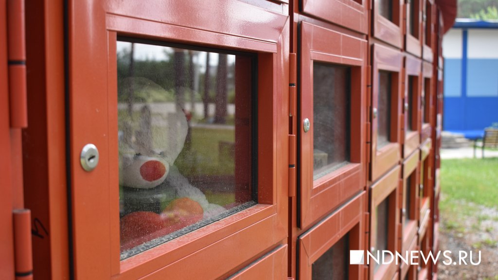 На радуге. Как в Екатеринбурге хоронят домашних питомцев (ФОТО, ВИДЕО)