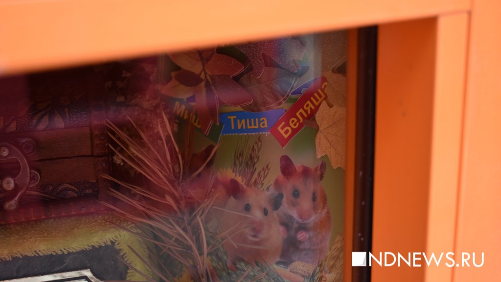 На радуге. Как в Екатеринбурге хоронят домашних питомцев (ФОТО, ВИДЕО)